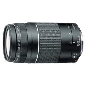 Canon Lens (Canon EF 75-300mm f/4-5.6 lll)